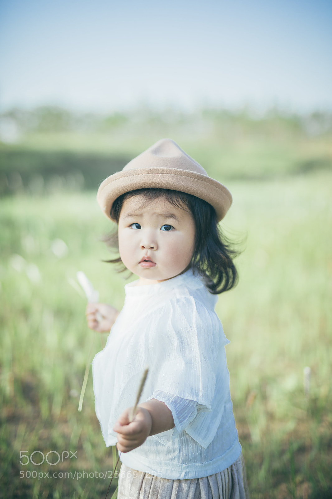 Canon EOS 5D Mark IV sample photo. Untitled photography