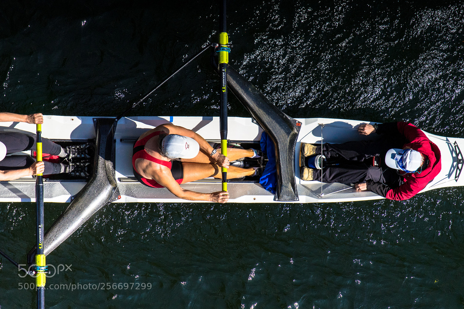 Sony a7 II sample photo. Windermete cup photography