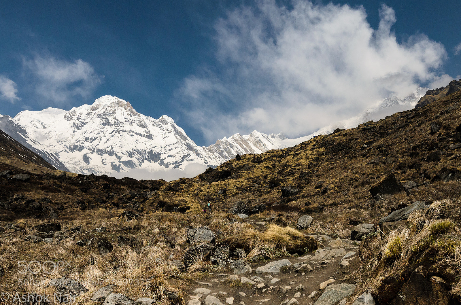Nikon D5100 sample photo. Magnificence ! photography