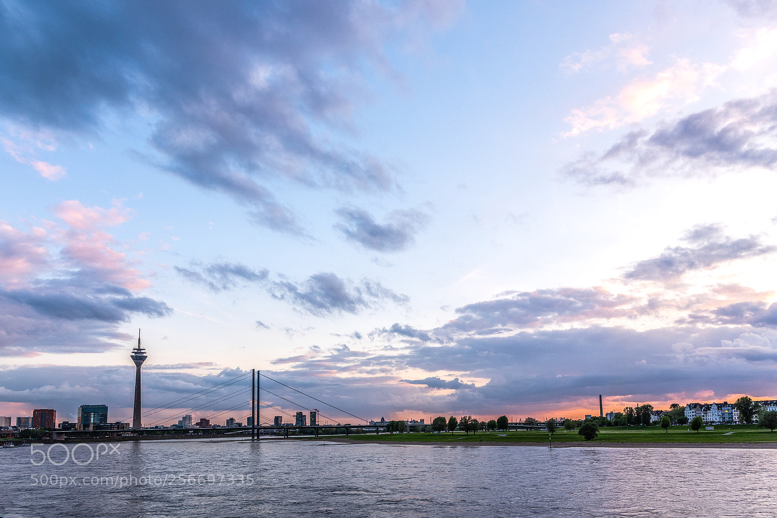 Nikon D750 sample photo. S u n s photography