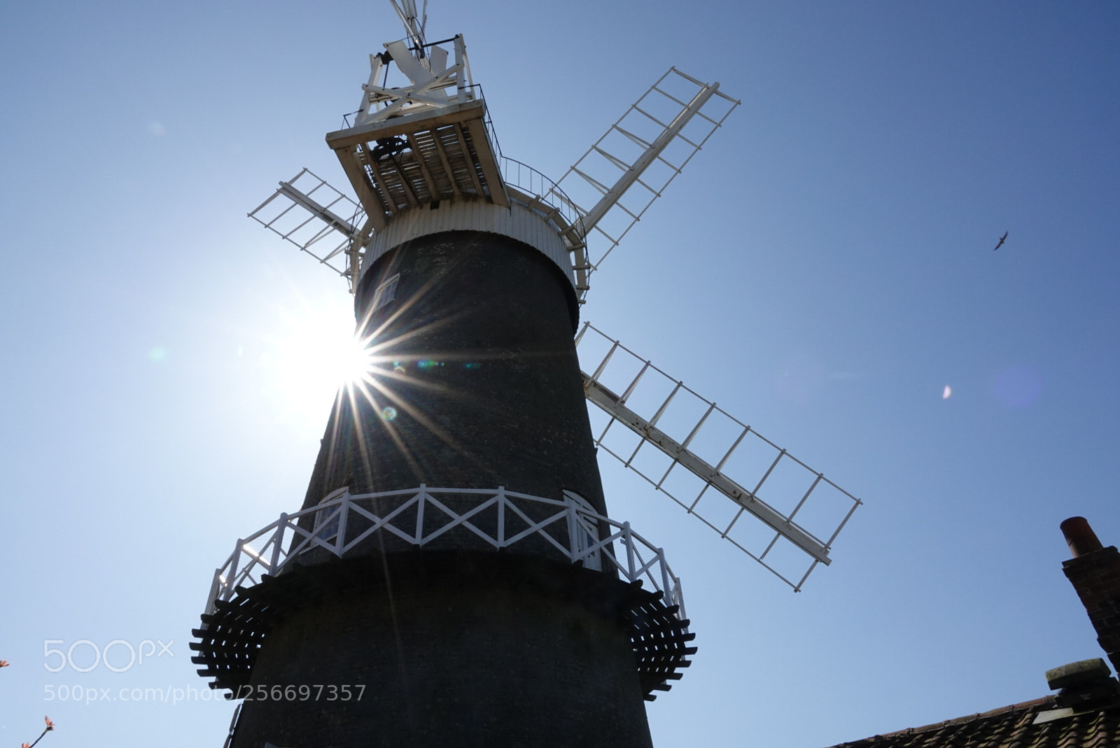 Sony Cyber-shot DSC-RX10 IV sample photo. Birchham photography