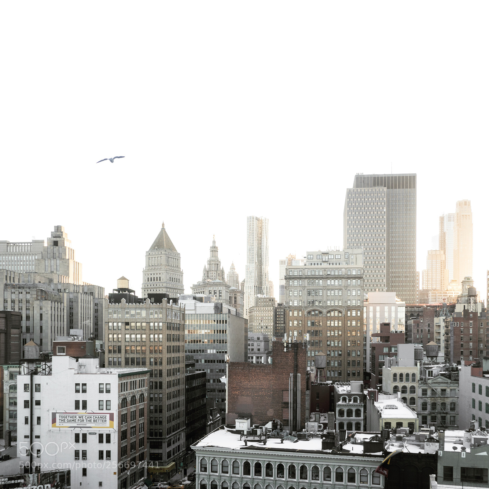Olympus OM-D E-M1 Mark II sample photo. New york photography