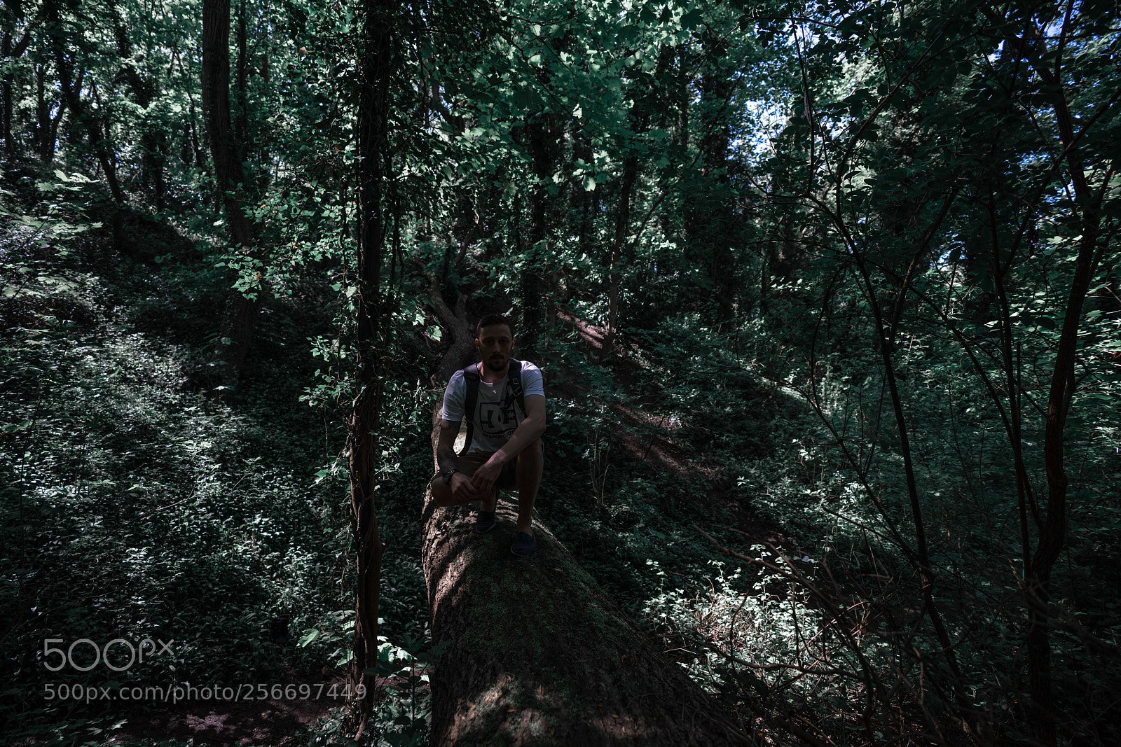 Sony a7R III sample photo. Untitled photography