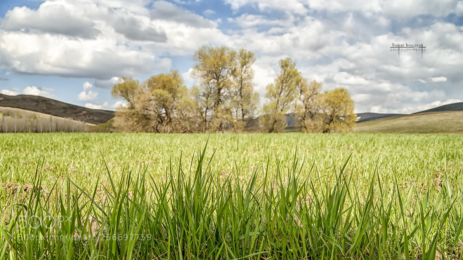 Sony a7 II sample photo. Before the rain photography
