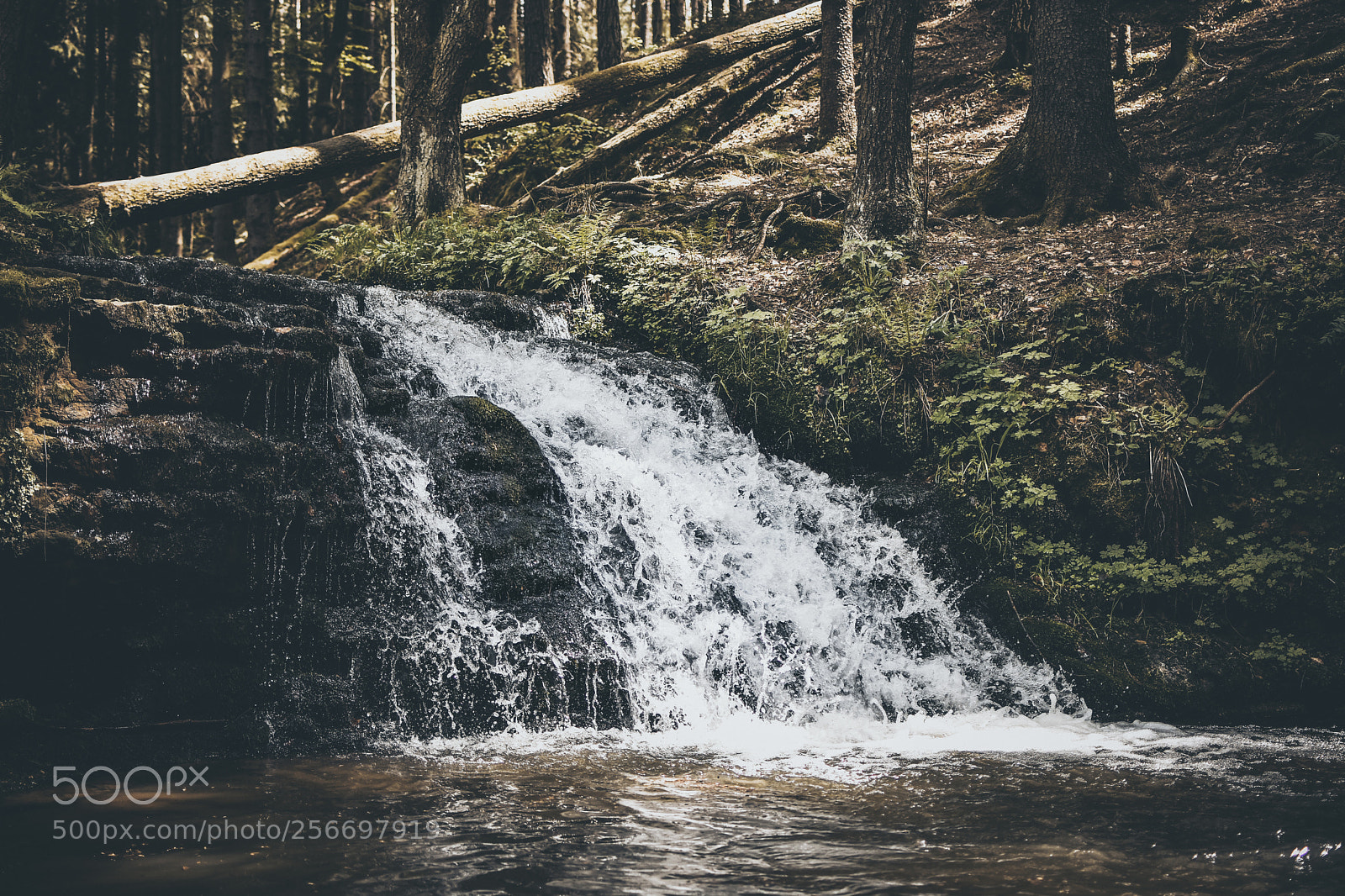 Nikon D7200 sample photo. Waterfall photography