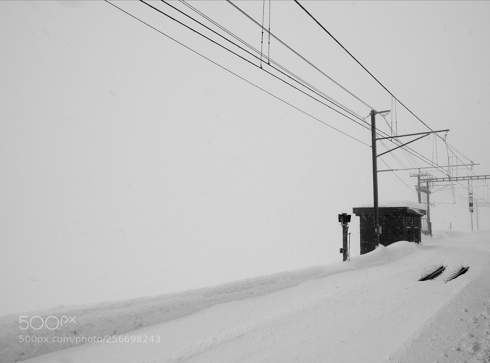 Olympus OM-D E-M5 II sample photo. Through the snow ii photography