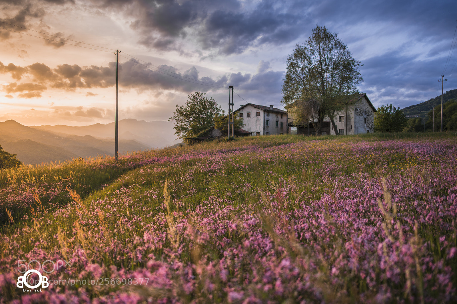 Nikon D850 sample photo. Contrá dotti photography