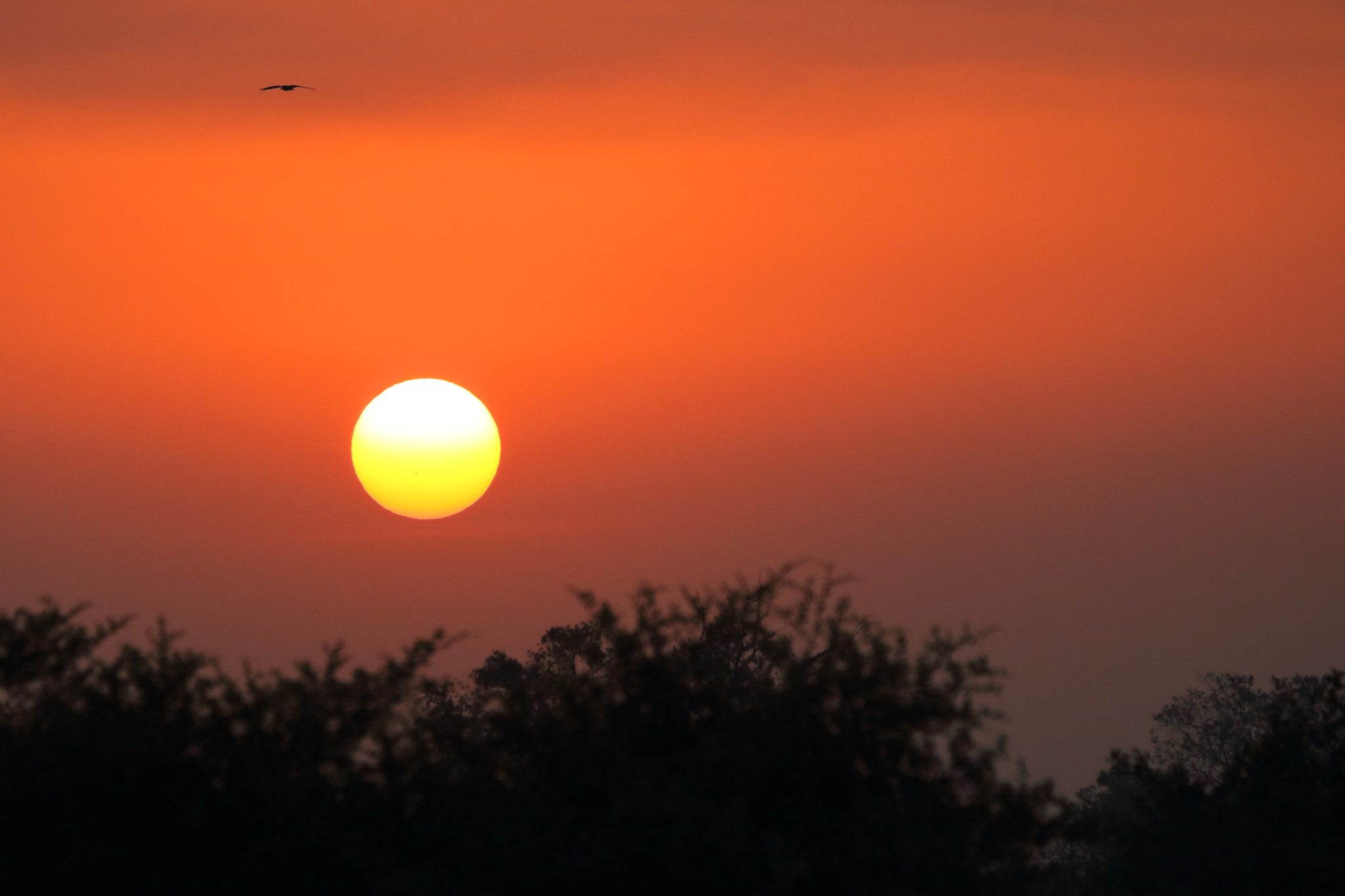 Canon EOS 760D (EOS Rebel T6s / EOS 8000D) sample photo. A new beginning photography