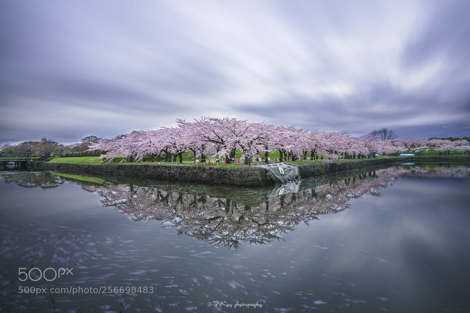 Sony a7R II sample photo. Spring reflection photography