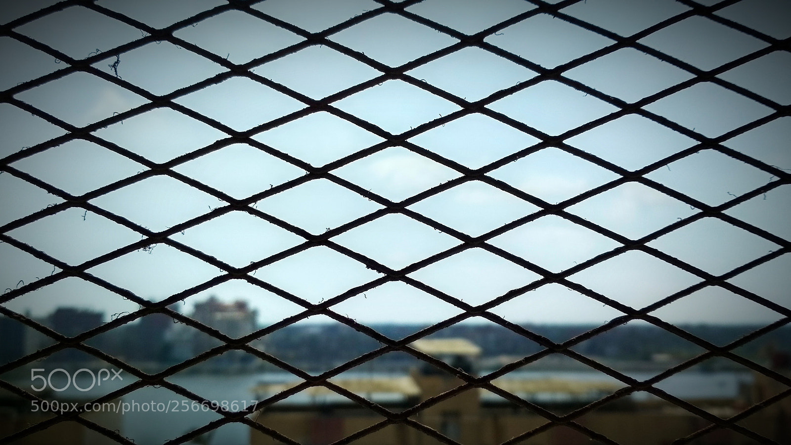 Xiaomi Redmi 4X sample photo. In a cage photography