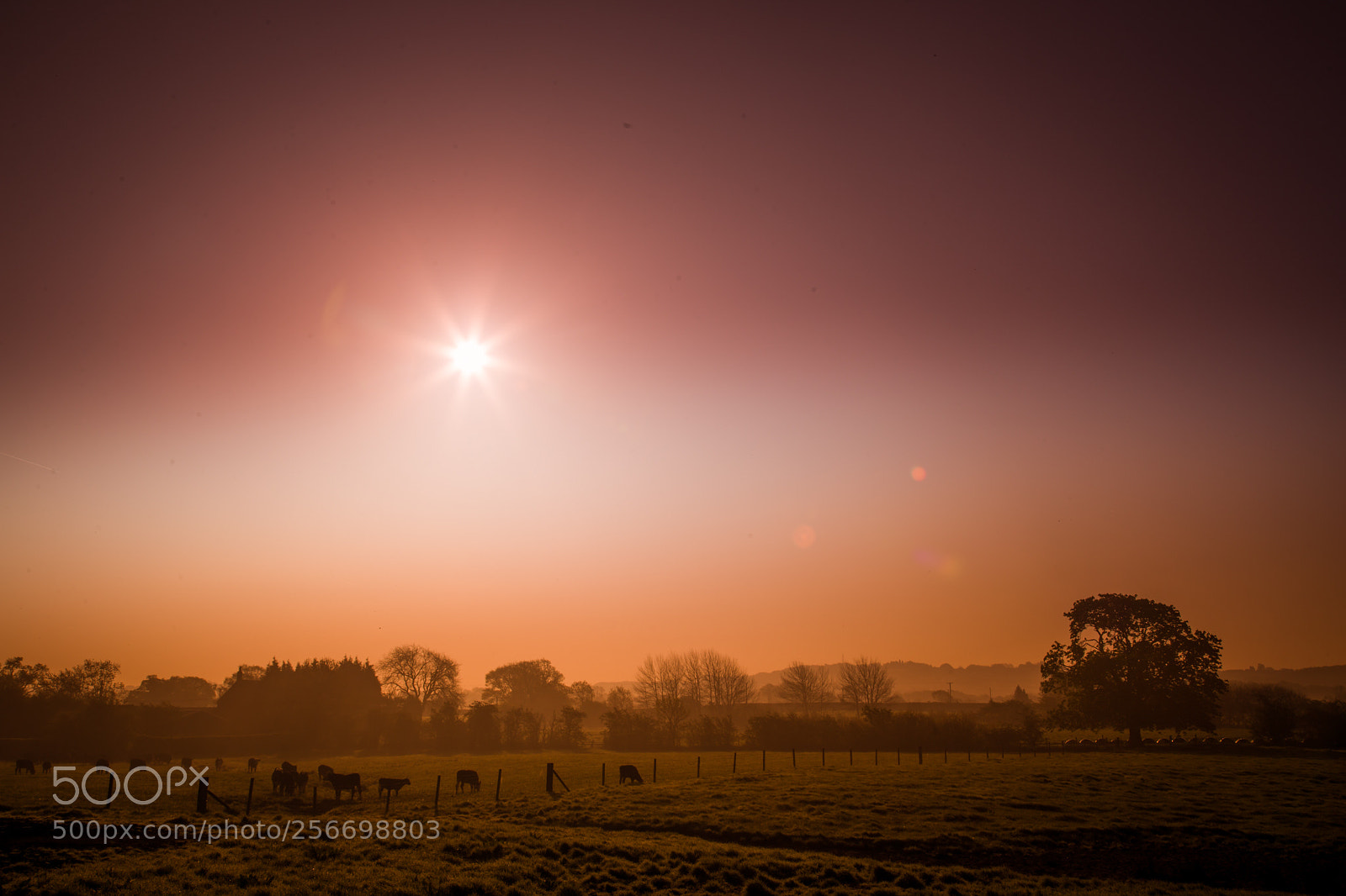 Canon EOS 6D sample photo. Misty sunrise photography