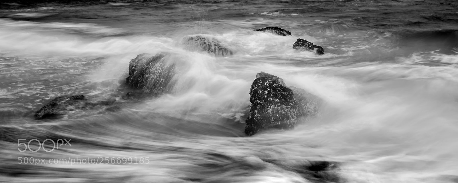 Nikon D800E sample photo. The surf photography