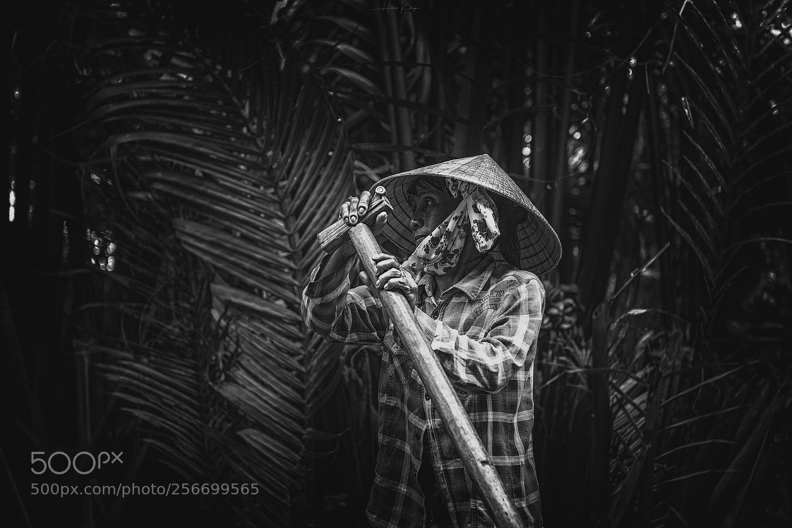 Nikon D750 sample photo. Vietnam faces 2 photography