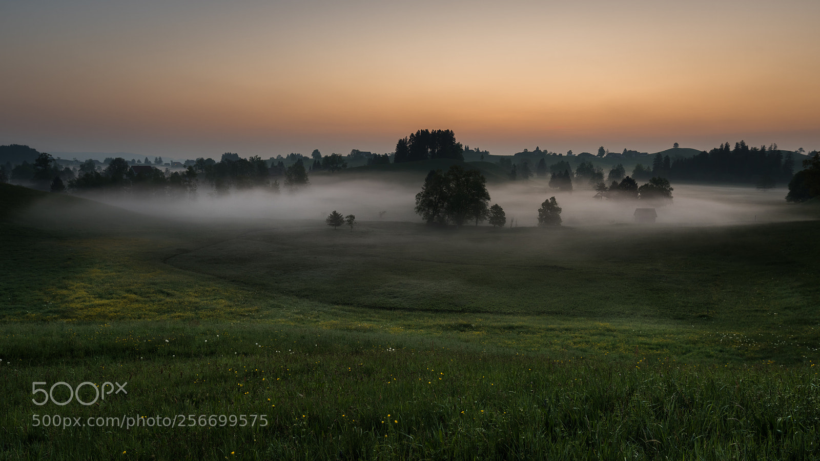 Nikon D810 sample photo. Good morning photography