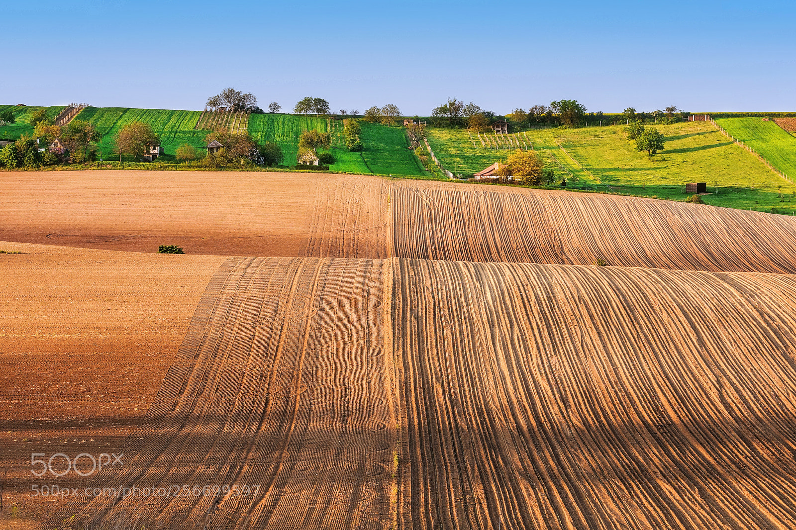 Nikon D500 sample photo. Rural landscape photography