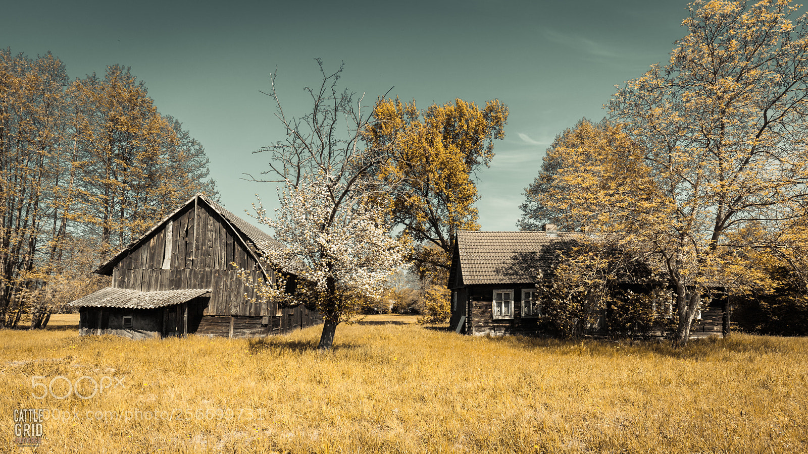Canon EOS 6D Mark II sample photo. Country houses cattlegridpictures k.brunow photography