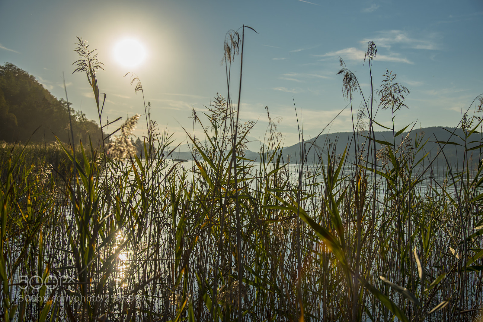 Nikon D750 sample photo. Sonnenuntergang am wörthersee photography
