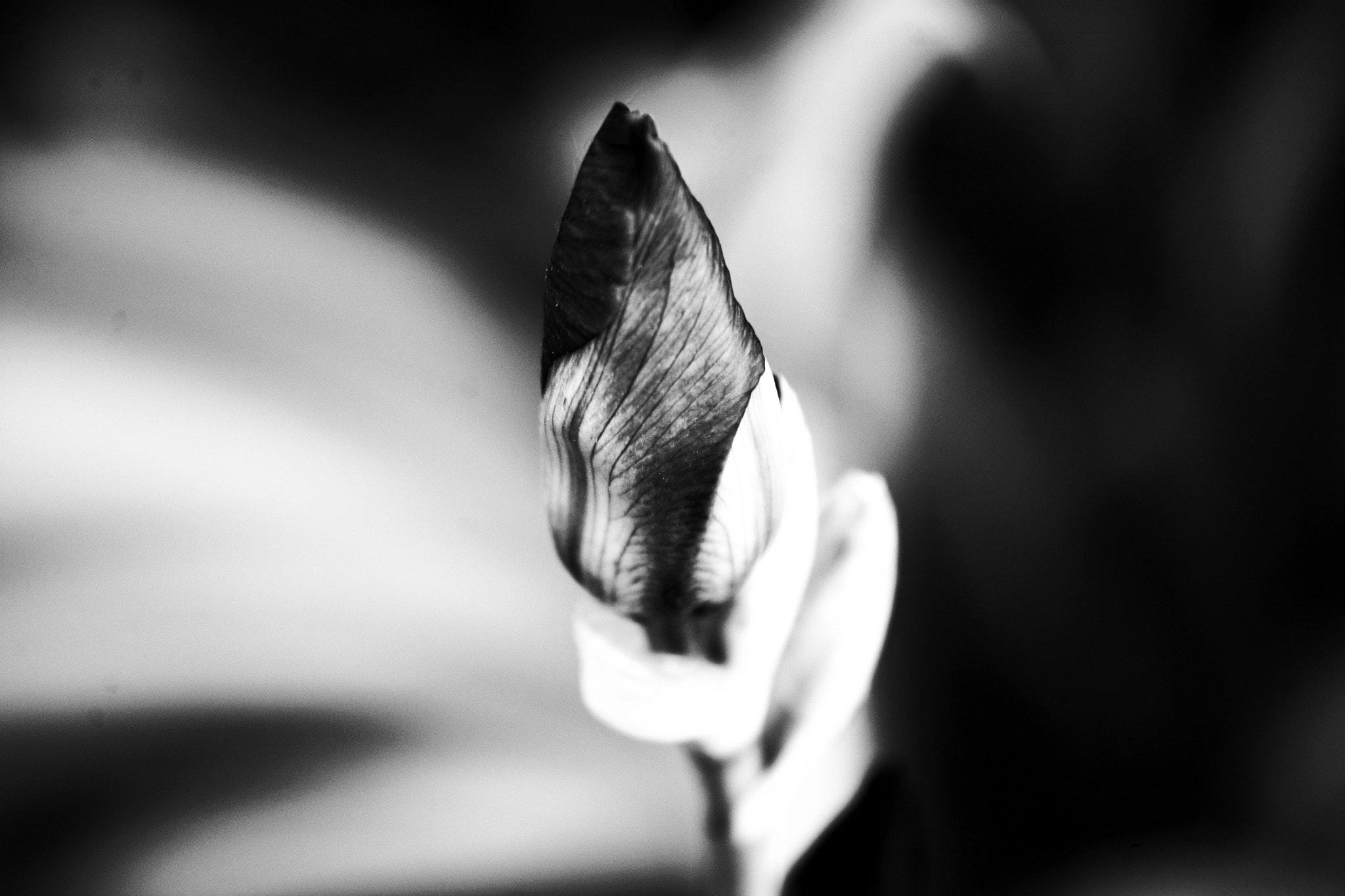 Nikon D7200 sample photo. Sensitivity photography