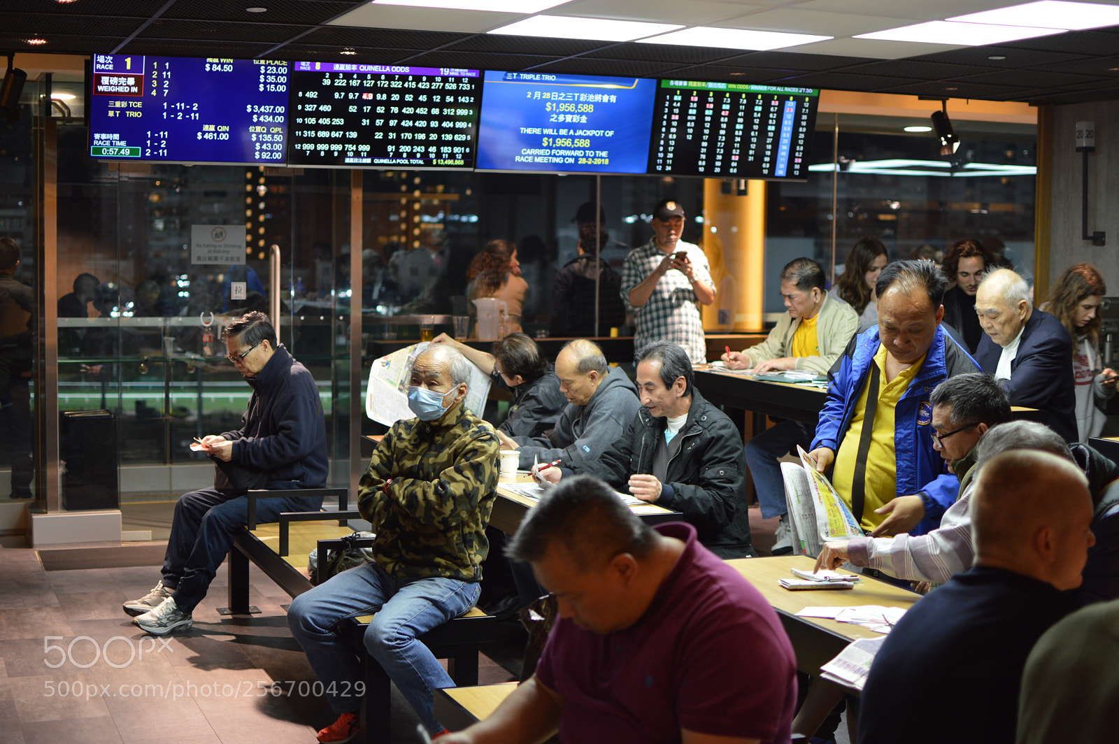 Nikon D3200 + Nikon AF-S DX Nikkor 35mm F1.8G sample photo. Gambling on horses photography