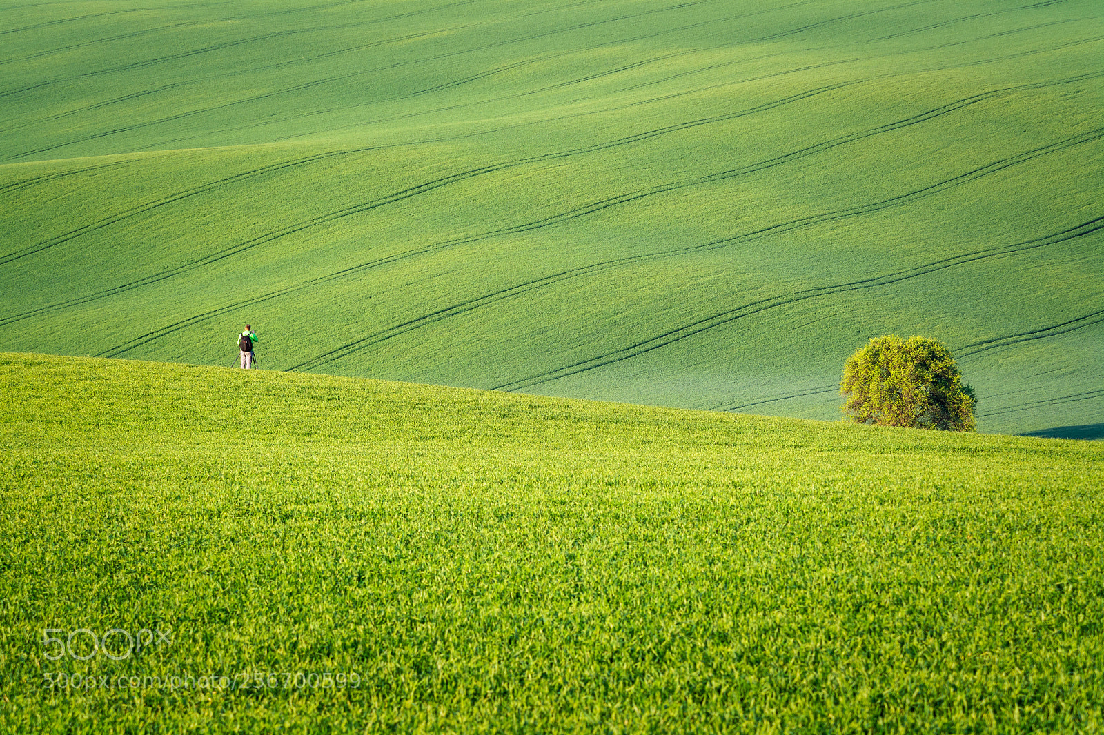 Nikon D7100 sample photo. "at work" photography