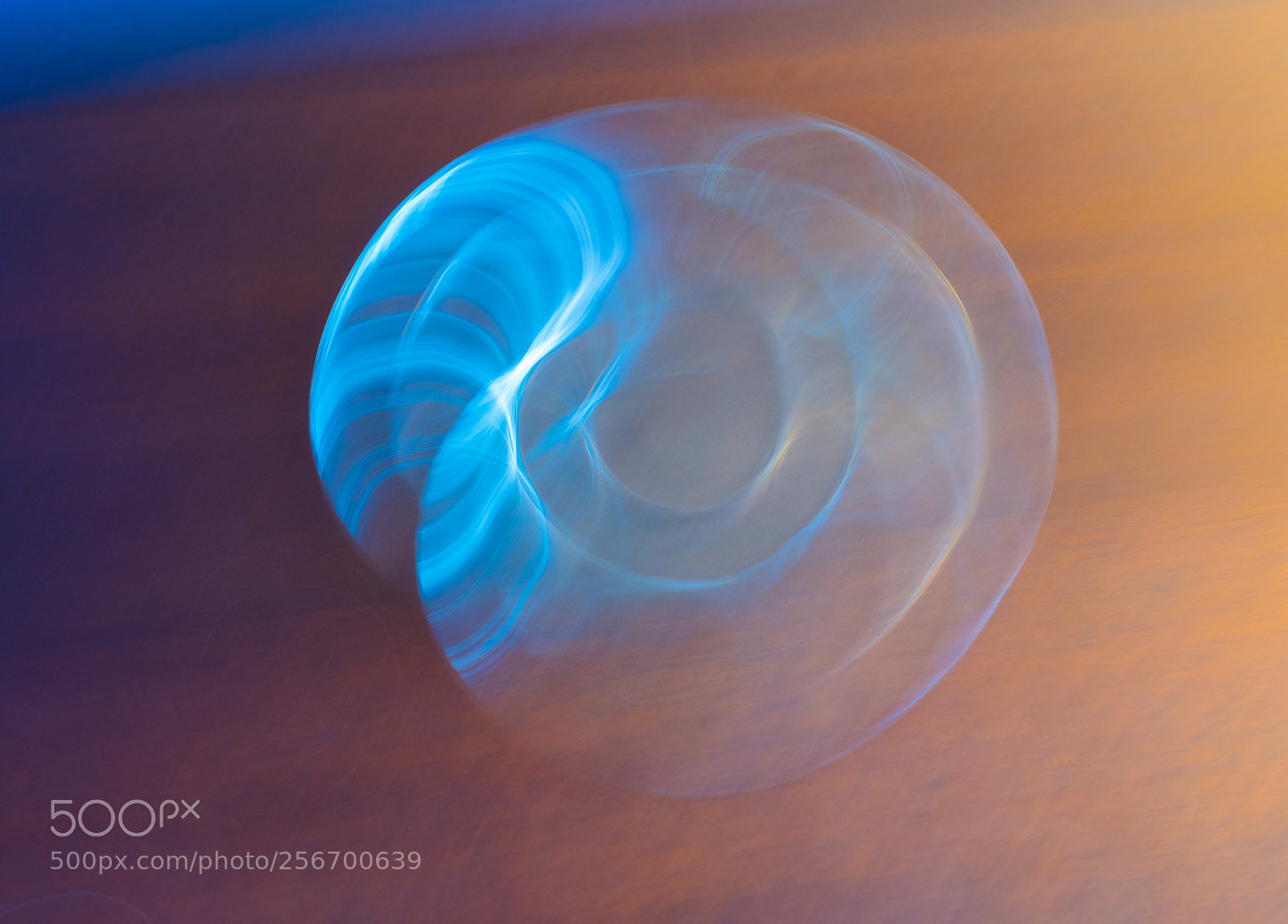 Nikon D750 sample photo. In the circles of photography