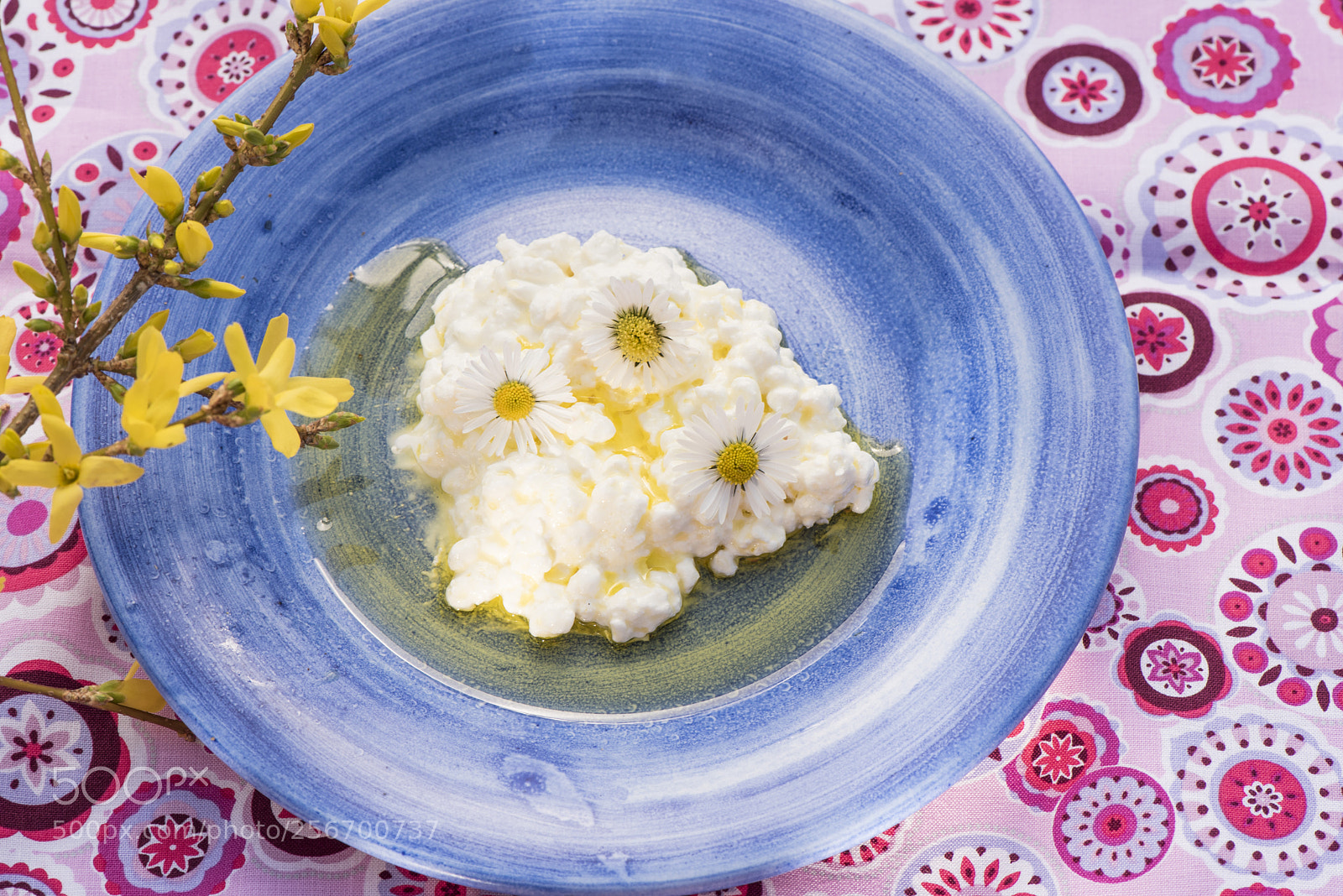 Nikon D750 sample photo. Cottage cheese mit Öl photography