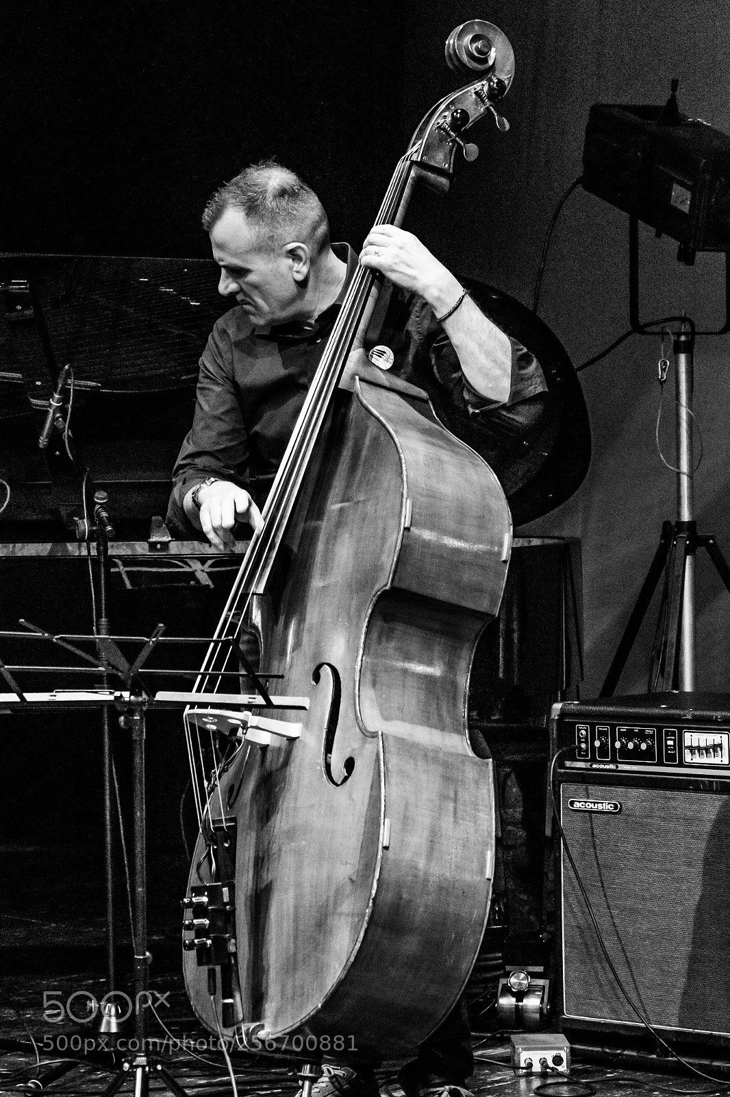 Nikon D3300 sample photo. All that jazz photography