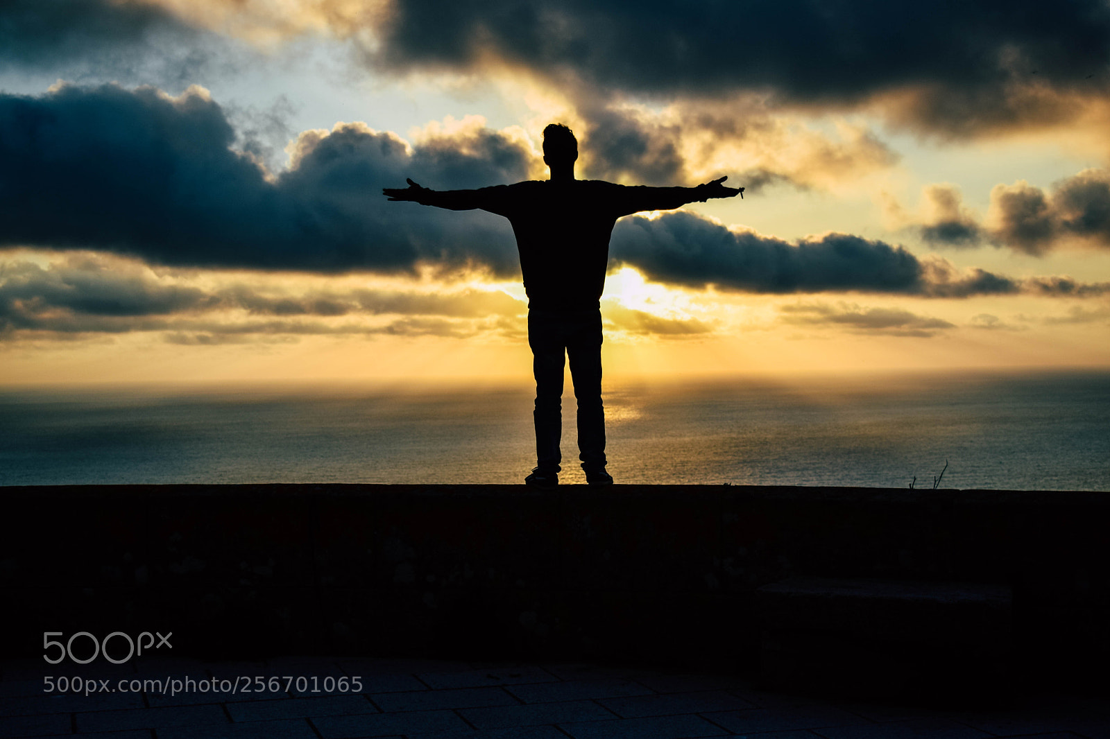 Nikon D5300 sample photo. Silhouete photography