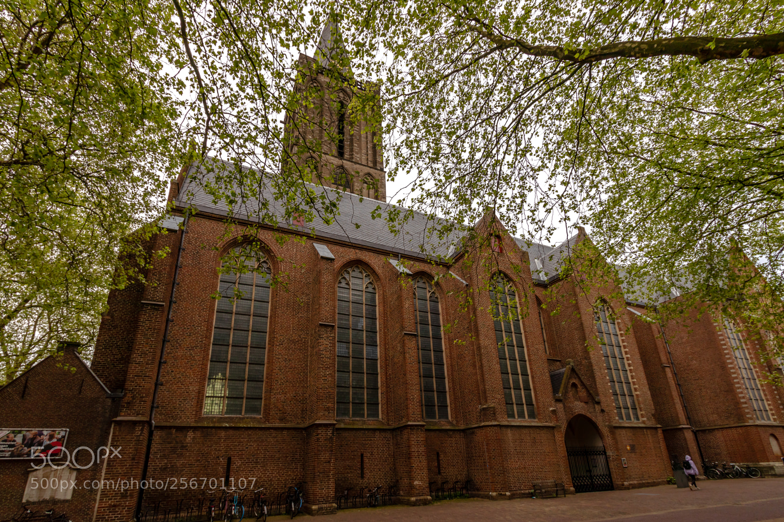 Canon EOS 80D sample photo. Jacobskerk photography