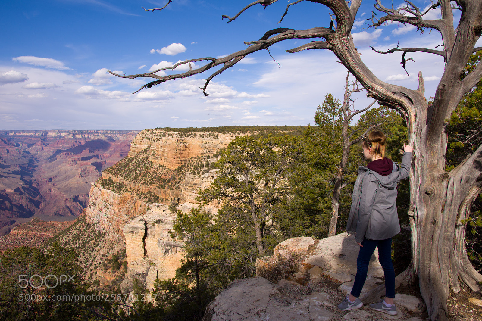 Nikon D7200 sample photo. Grand canyon photography