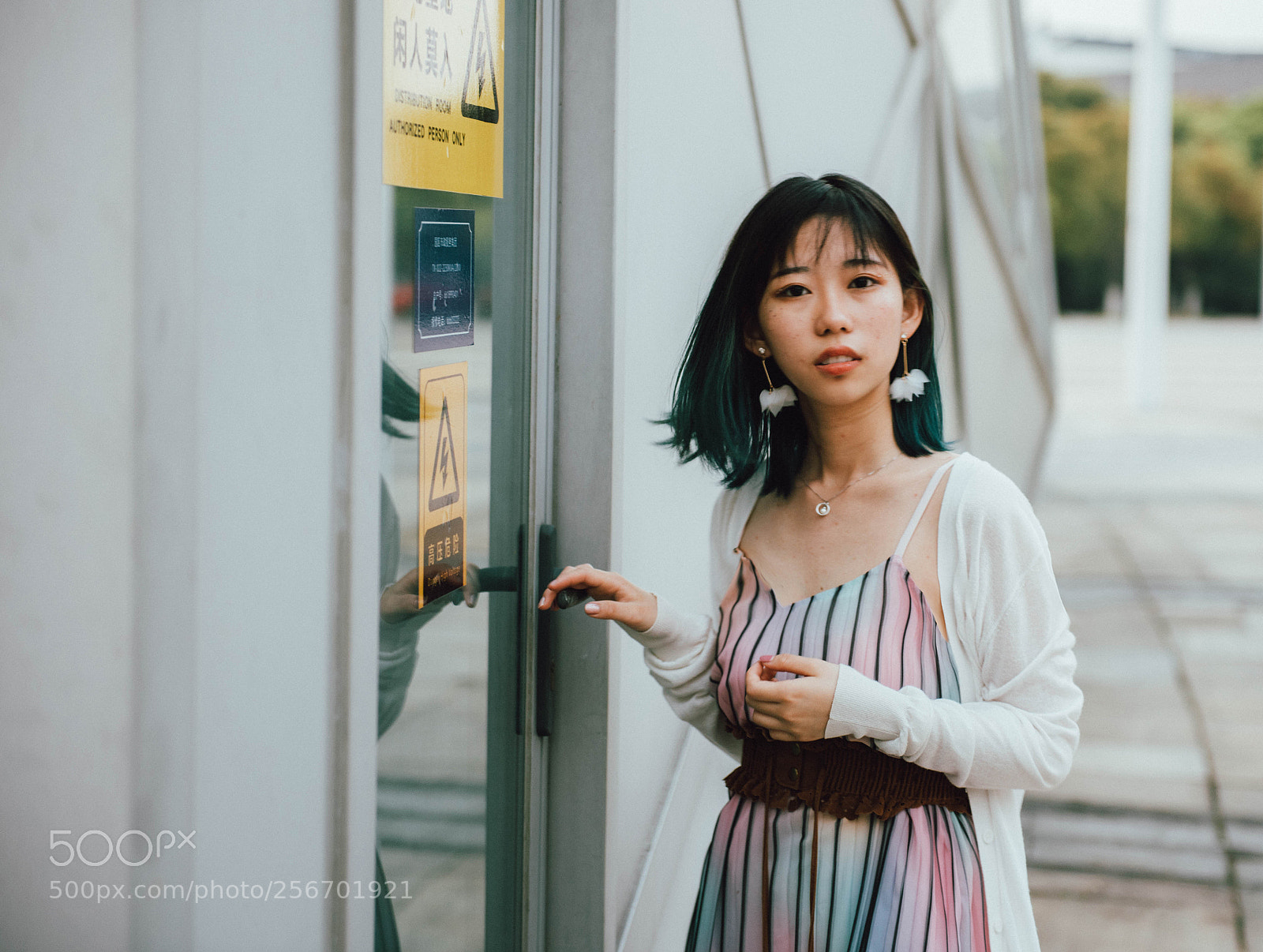 Nikon D750 sample photo. Untitled photography