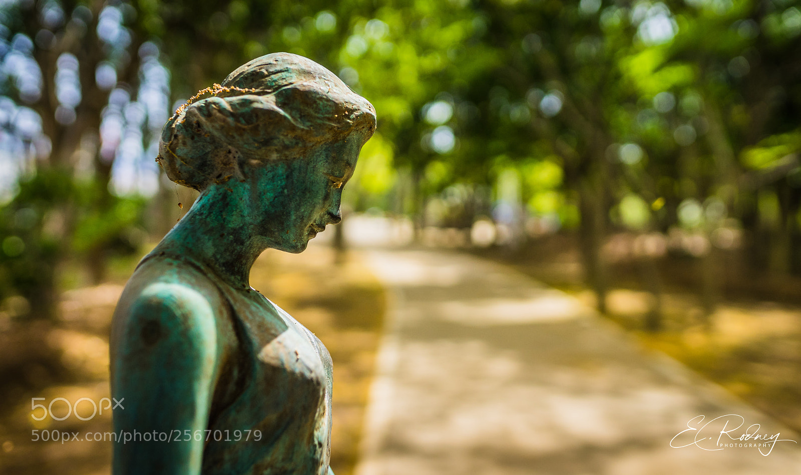 Sony a7 II sample photo. Bdcdfo photography