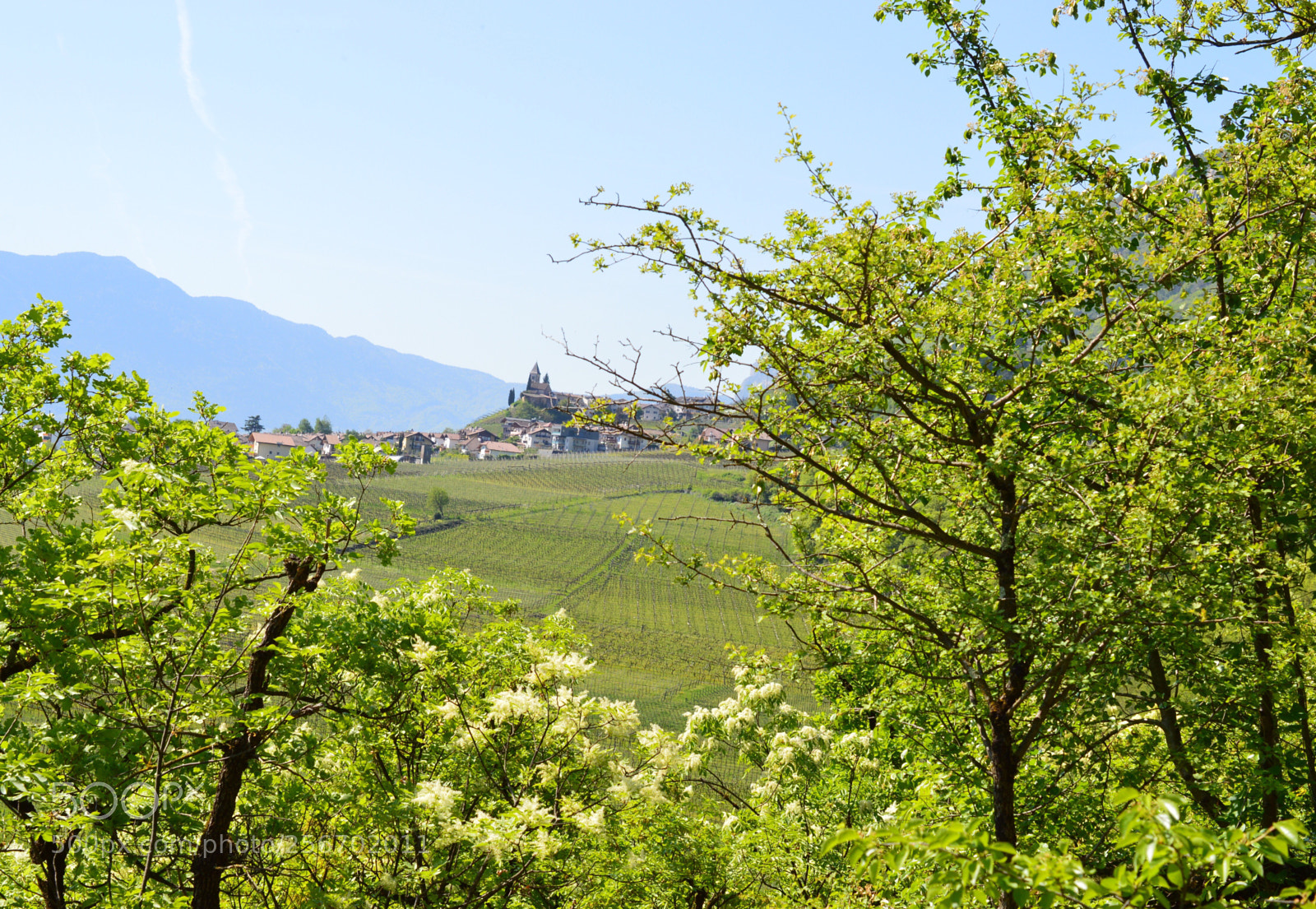 Nikon D3200 sample photo. Tramin photography