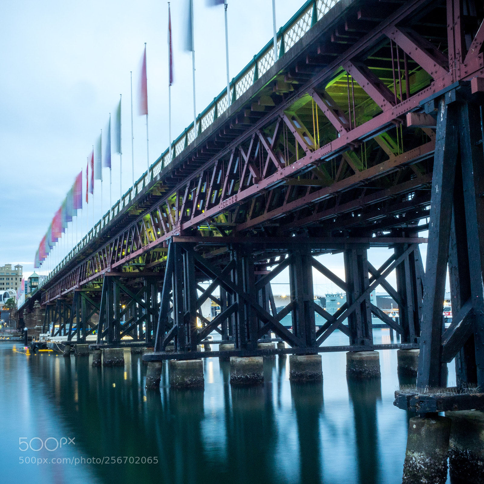 Olympus OM-D E-M1 sample photo. Pyrmont bridge at dawn photography