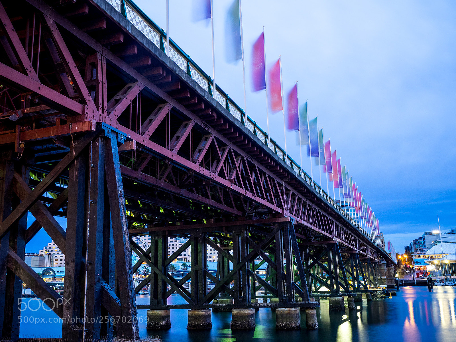 Olympus OM-D E-M1 sample photo. Pyrmont bridge at dawn photography
