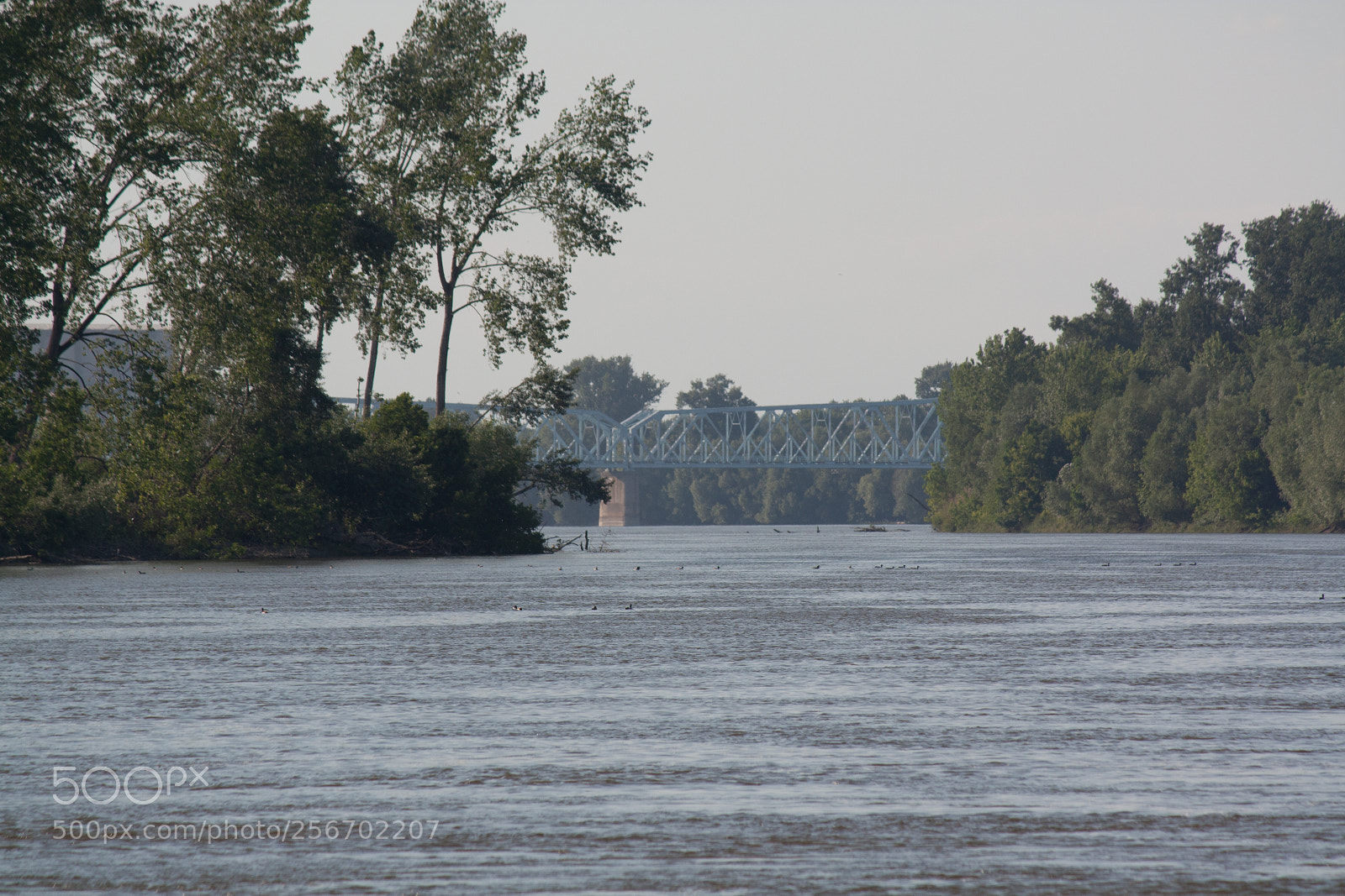 Canon EOS 450D (EOS Rebel XSi / EOS Kiss X2) sample photo. River danube photography