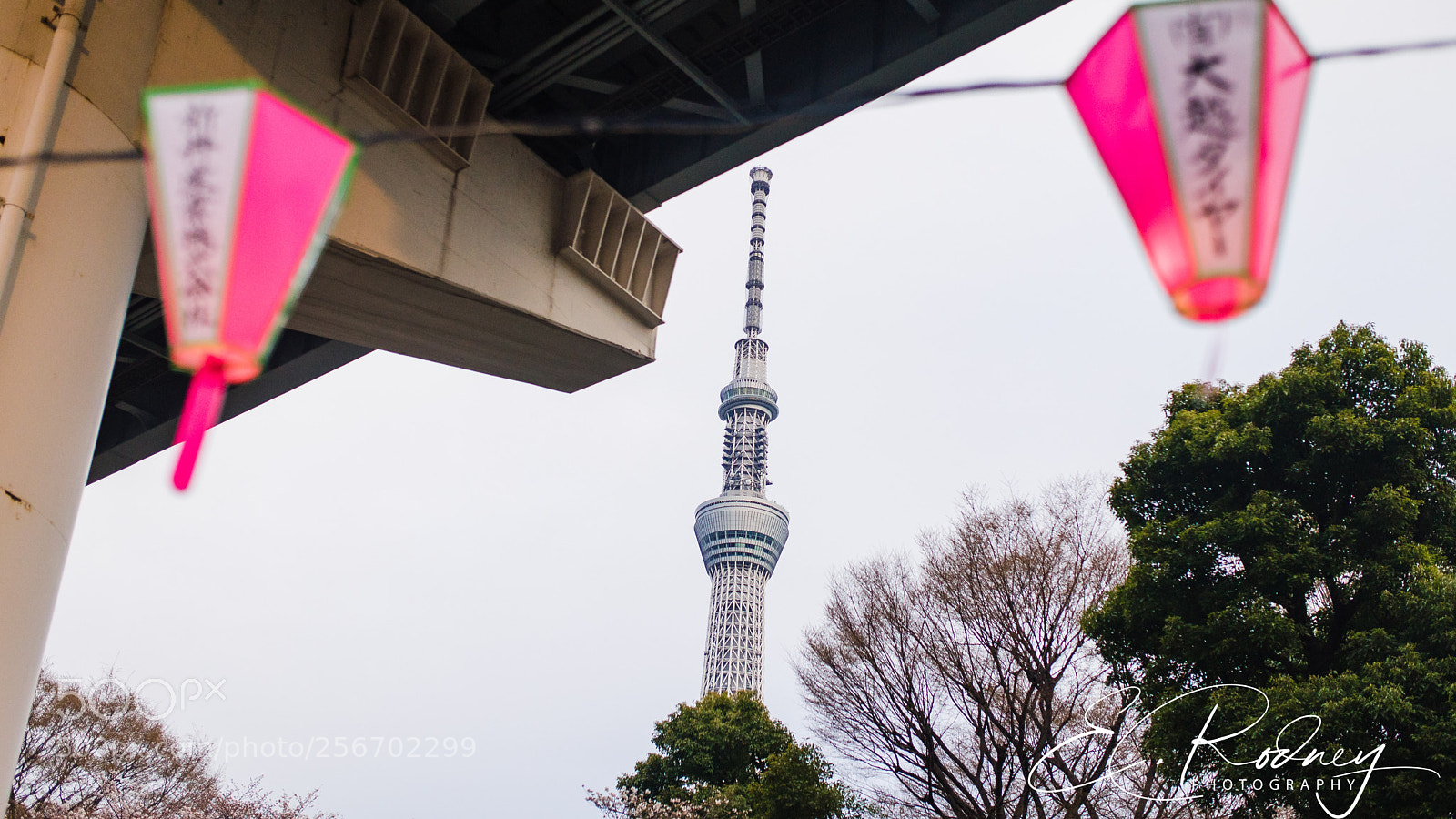 Sony a7 II sample photo. Fbc o photography