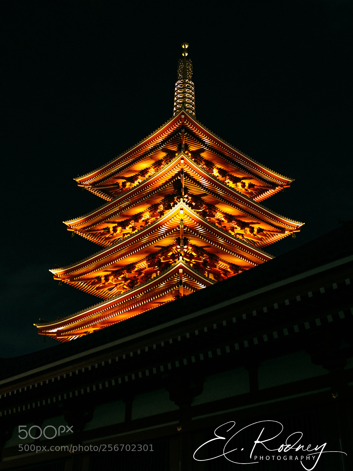 Sony a7 II sample photo. Dco photography