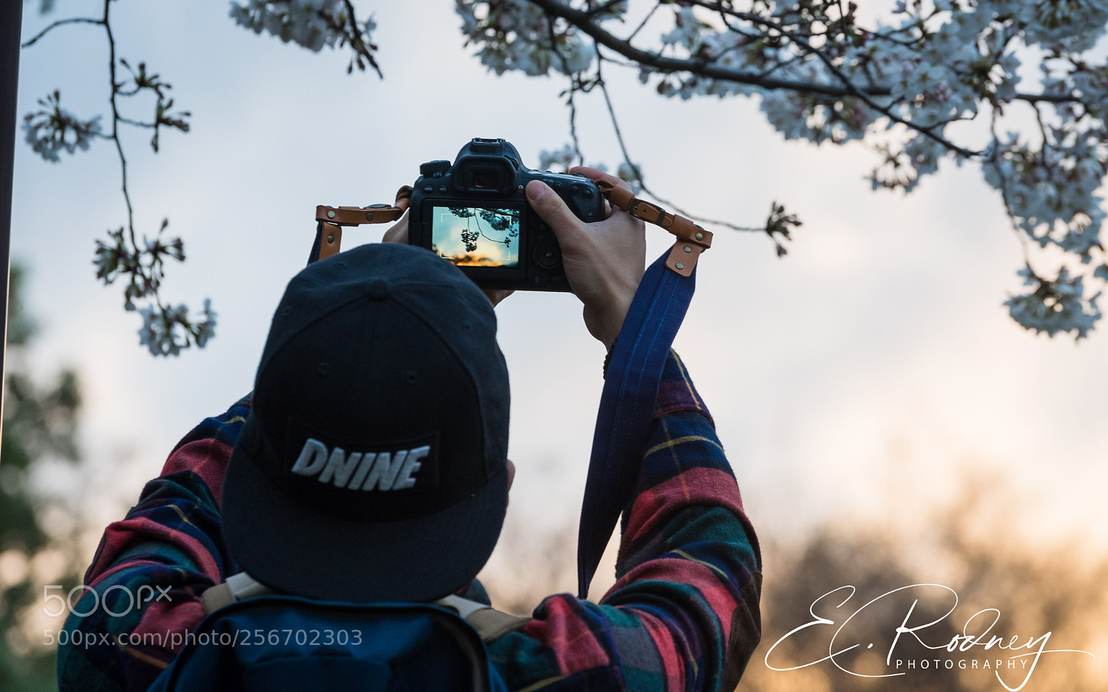 Sony a7 II sample photo. Cfo photography