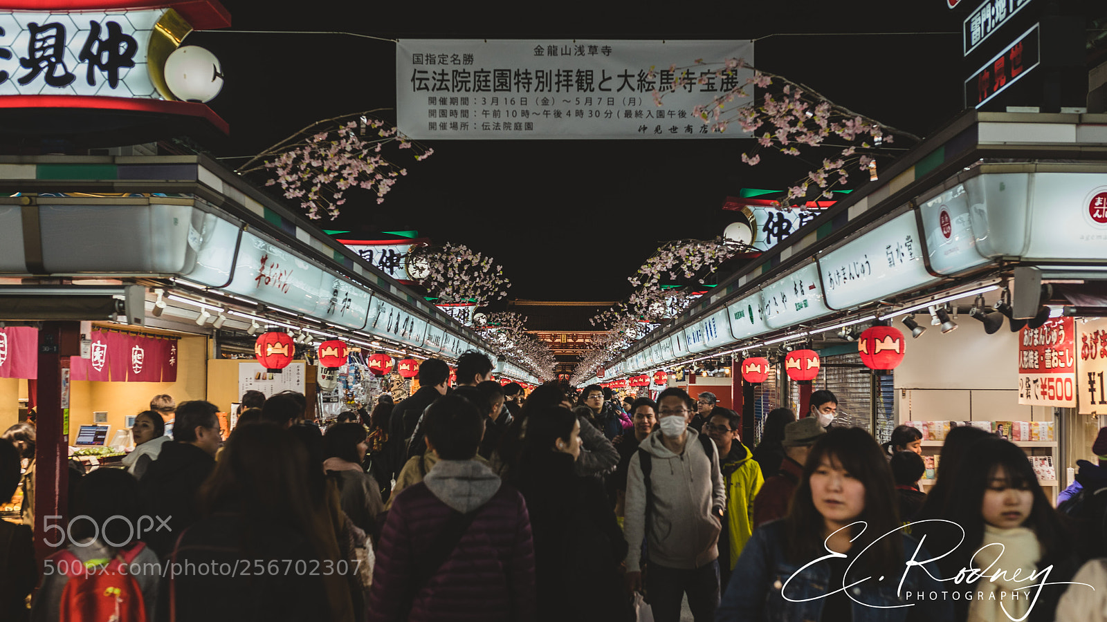 Sony a7 II sample photo. Bbco photography