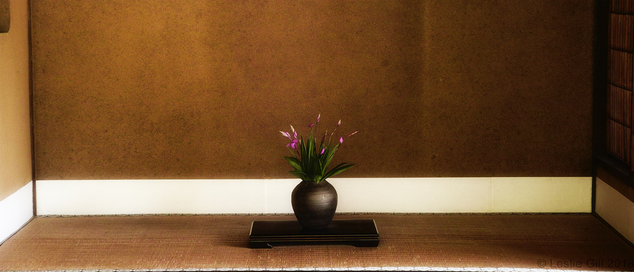 Sigma sd Quattro sample photo. Alcove photography