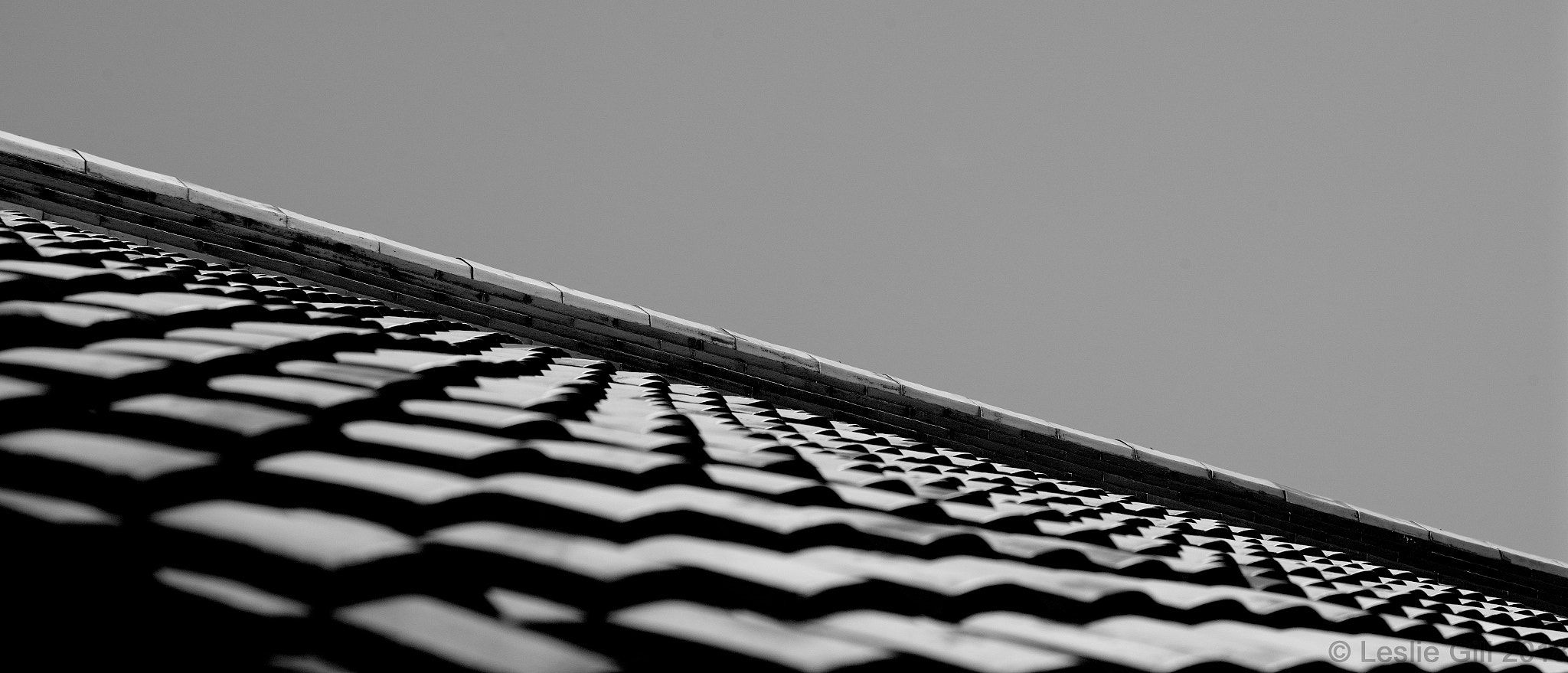 Sigma sd Quattro sample photo. Temple roof photography
