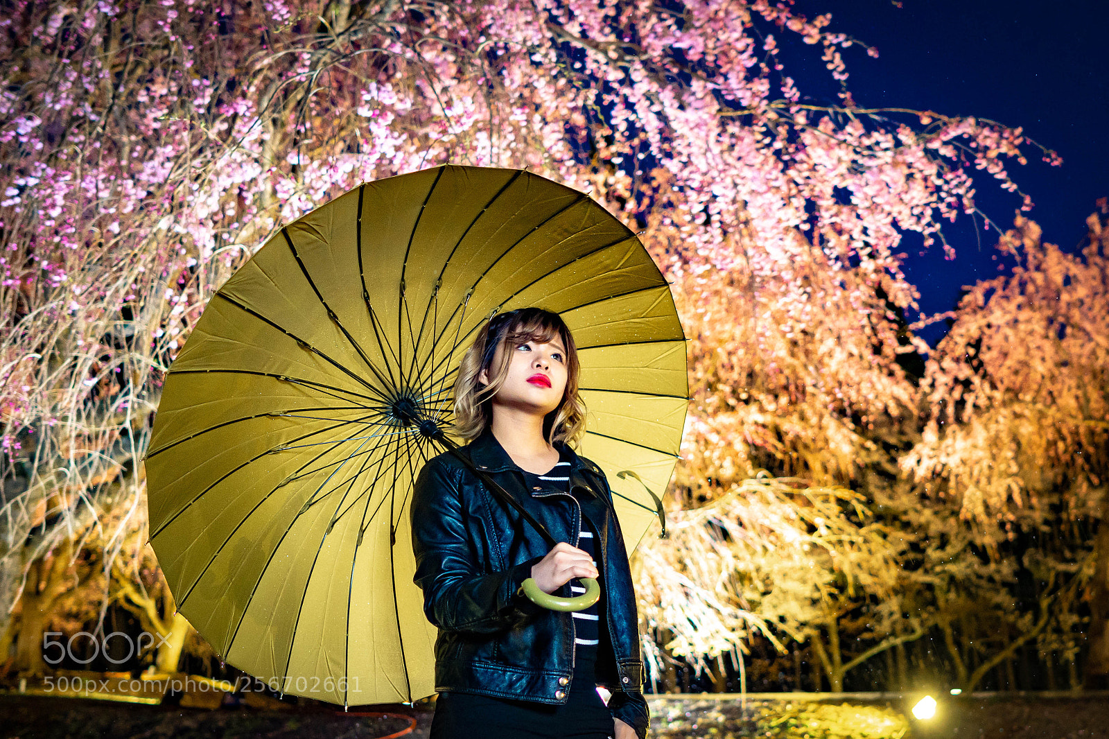 Sony a7 III sample photo. 福井県 丸岡 photography