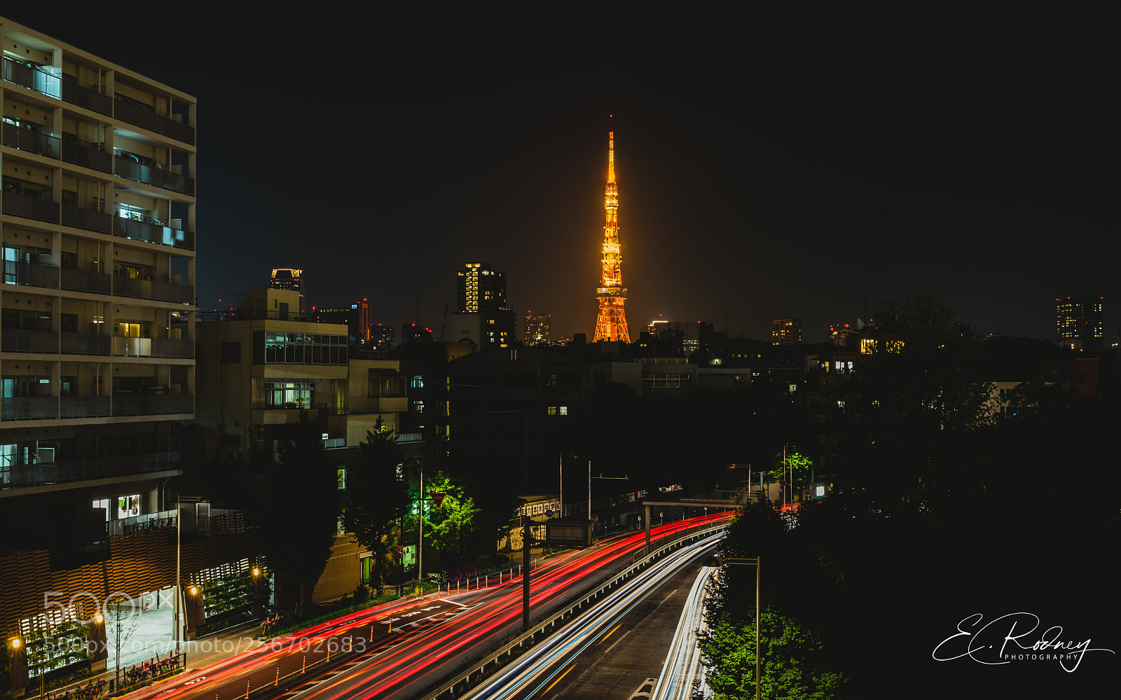 Sony a7 II sample photo. O photography