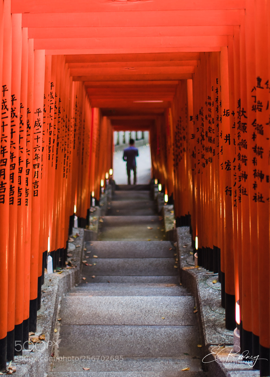 Sony a7 II sample photo. Dbo photography