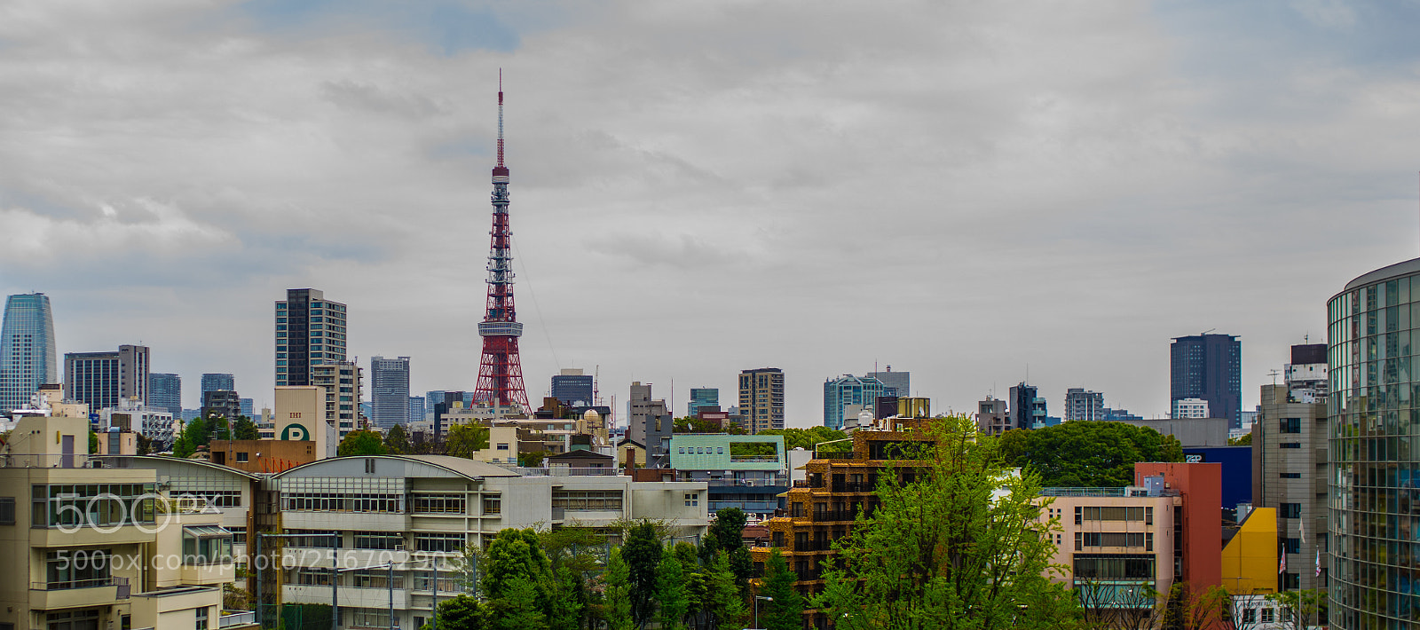 Sony a7 II sample photo. Eeddc o photography