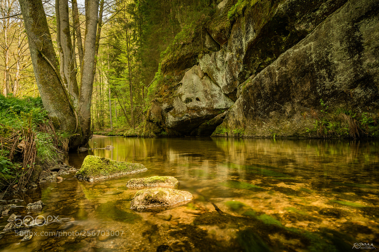 Sony a7R II sample photo. Calm stream passing impressive photography