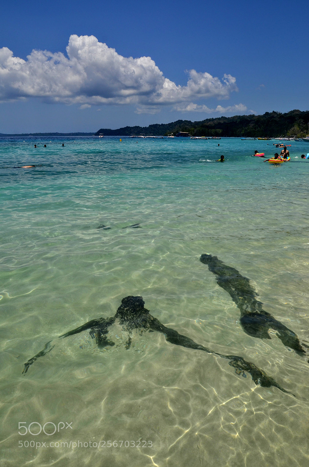 Nikon D7000 sample photo. Lovely seascape... photography