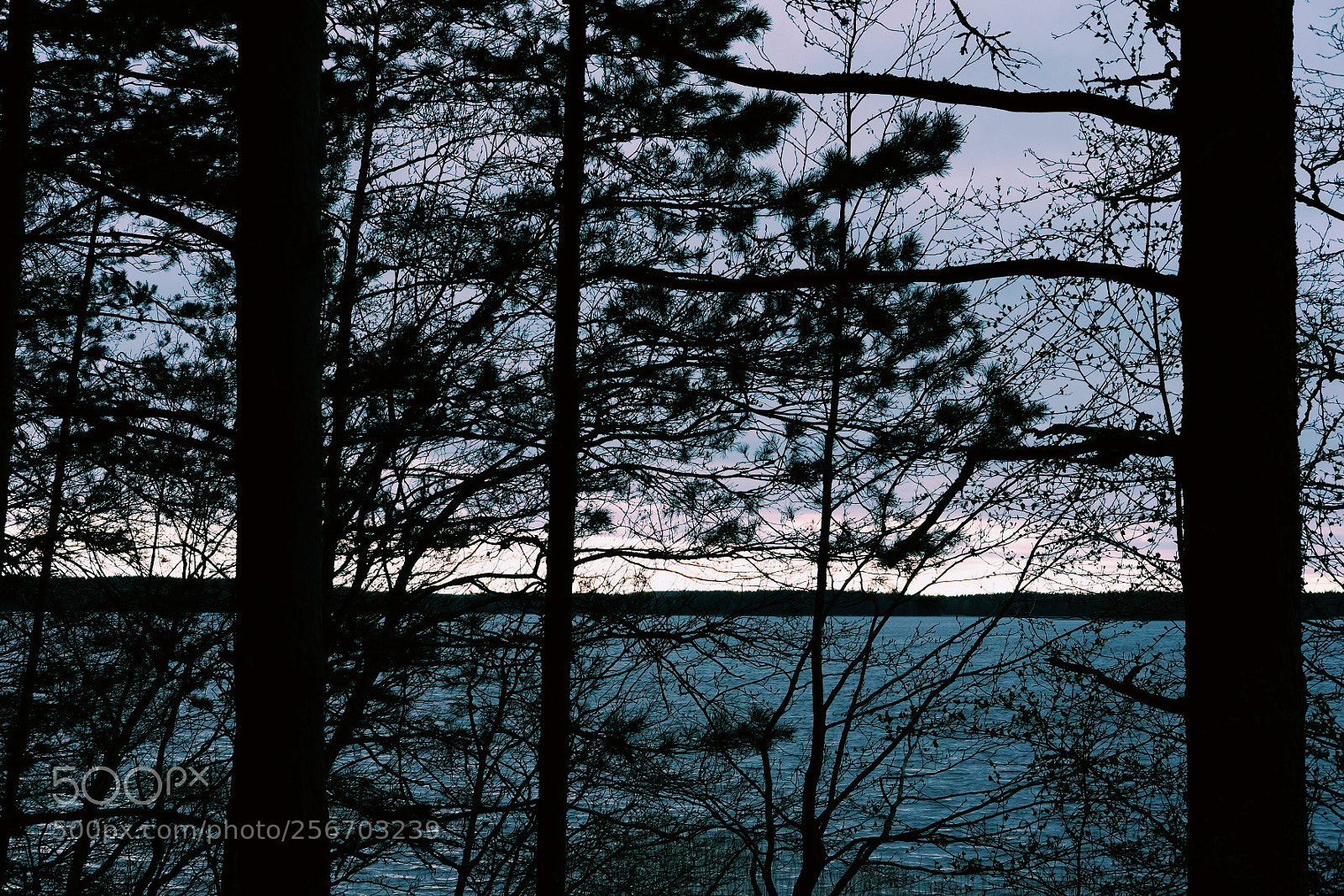 Fujifilm X-T1 sample photo. Lake photography