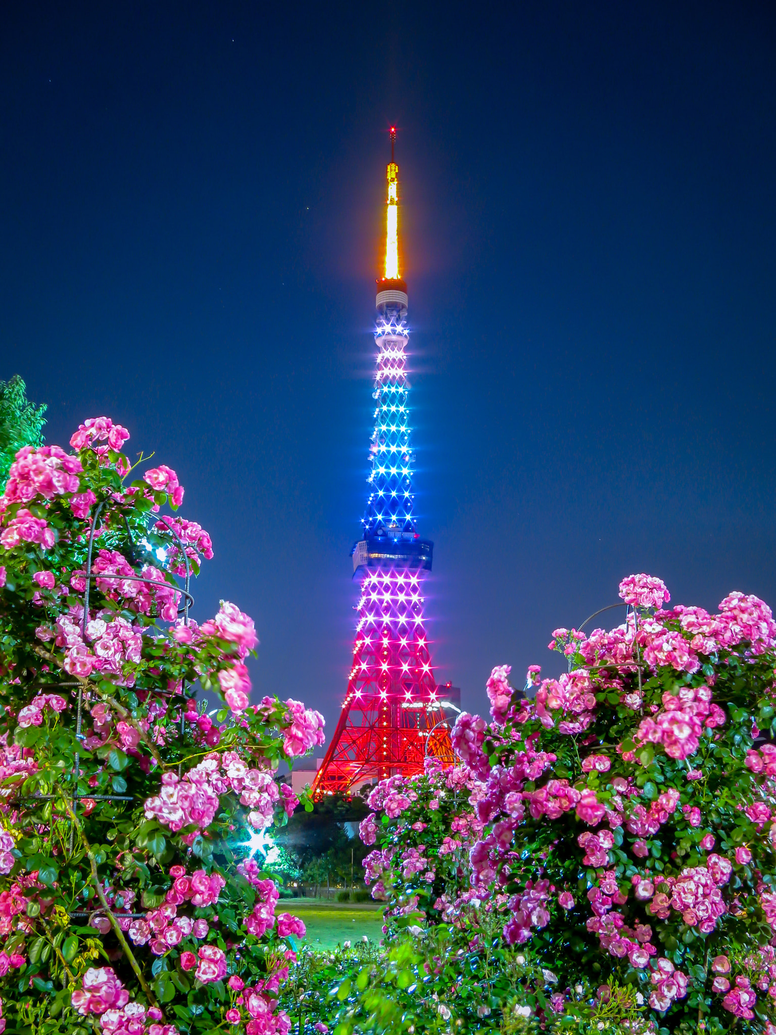 Canon PowerShot S120 sample photo. Rose and tokyo tower" photography